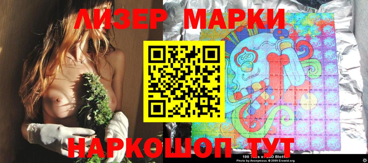Наркотические марки 1500мкг Губкин