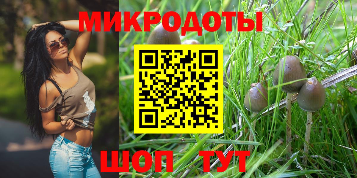 Губкин  Псилоцибиновые грибы Psilocybine cubensis  Вход с VPN  Галлюциногенные грибы MAGIC MUSHROOMS 